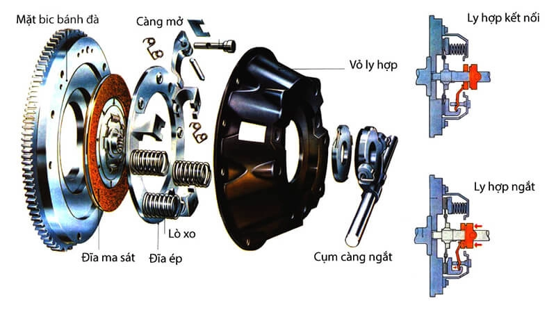 Cấu tạo ly hợp