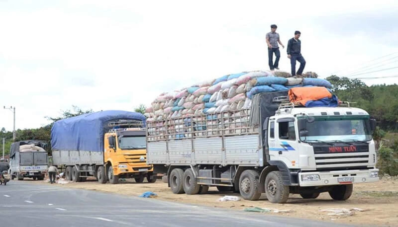 Trọng tải là gì?